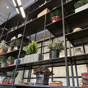 Decor