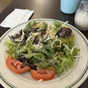 Side salad with Italian dressing