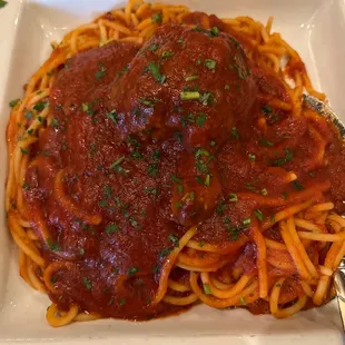 Spaghetti and Meatball Lunch