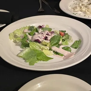 &quot;side salad&quot;