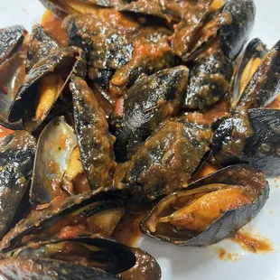 shellfish, oysters, mussels, food, oysters and mussels