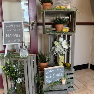a display of flowers and plants