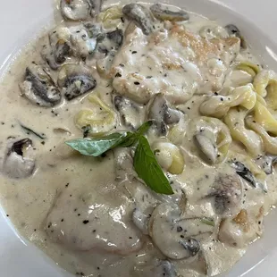 Tortellini with creamy mushroom and chicken sauce
