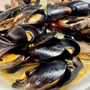 Steamed Mussels