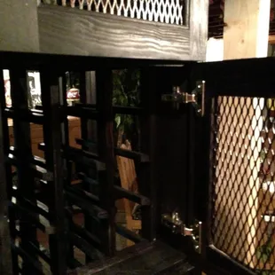 a dog in the doorway