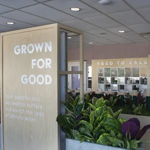 New Location - 701 W Union Hills Drive, Phoenix