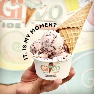 a hand holding a cup of ice cream