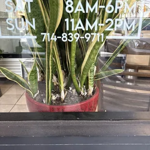 Our original phone number of (714) 839-9711 is now working. Sorry for the inconvenience and thank you for your patience.