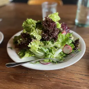 Mixed Market Greens, Dill, Tarragon, Meyer Lemon Vinaigrette
