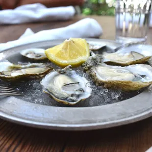 shellfish, mussels, oysters and mussels, oysters, food