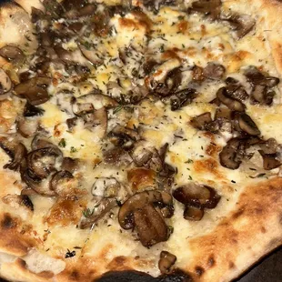 Mushroom Truffle Pizza