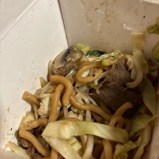 Udon noodles with cabbage, mushrooms, zucchini, mung, bean, sprouts, beef, and chicken with a teriyaki sauce