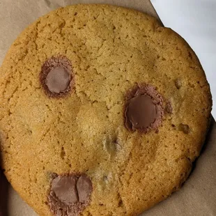 Chocolate chip cookie
