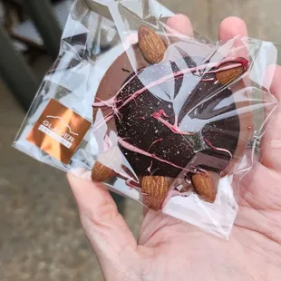 Chocolate turtle April 2023