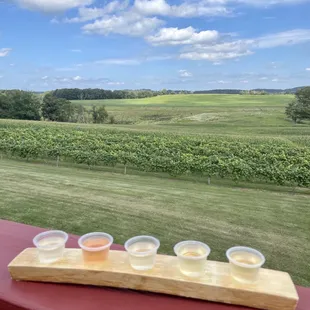 Seyval Blanc, Rosé, Vidal Blanc, Summer Breeze (seasonal), Late Harvest Diamond (limited edition)