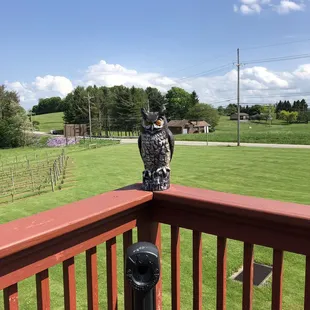 Mr Hoo...Hoo, my Wine Boo/Companion for the day, 05.26.2019.