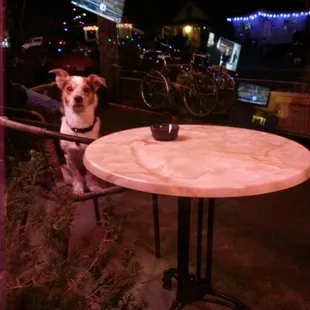 Just Charlie hanging out.