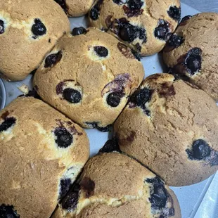 Blueberry muffin