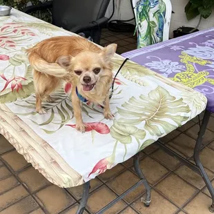 Customer Service is great here!