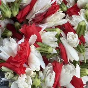 Happy Birthday   to my Lady!