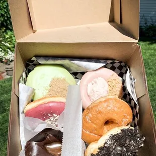 Upper left going clockwise: Ms.Florida, cheesecake (can't remember), sugar kane, Oreo, calendar girl, &amp; violet beaubeau.