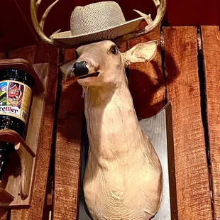 Meet "Buck" who is here every night