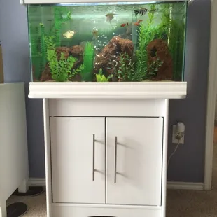 I only use water purchased from this store, successfully, healthy aquarium