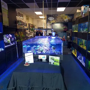 Excellent salt water tank!