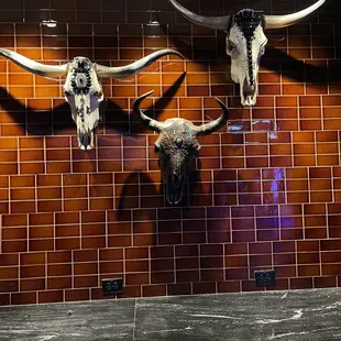 Skull decor at Glass Cactus