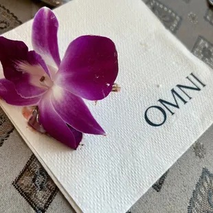 sushi and sashimi, interior