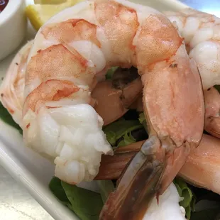 These shrimp are huge !!!