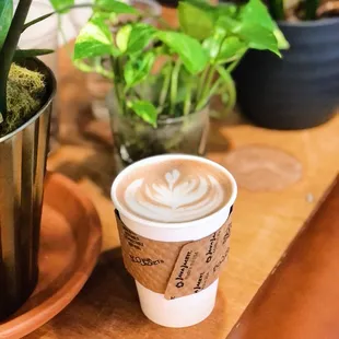 a cup of coffee and a potted plant