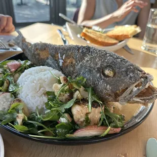 Whole Fish