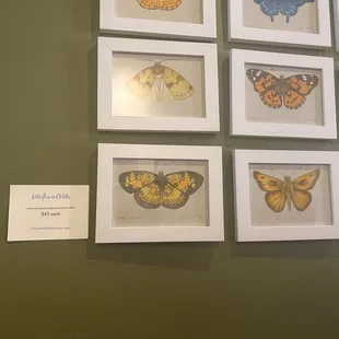 Love these painted butterflies by Sarahdrawsthings