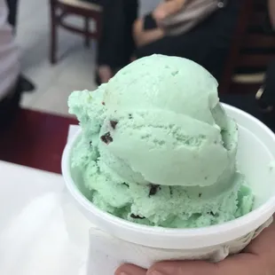 Mint chocolate chip