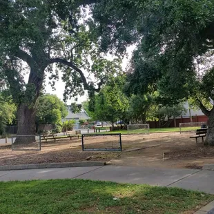 Horseshoe equipment shaded by majestic oak trees
