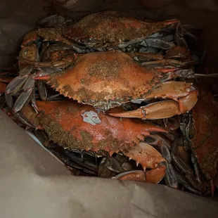 Crabs