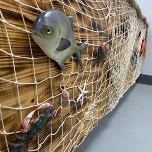 a fish in a net