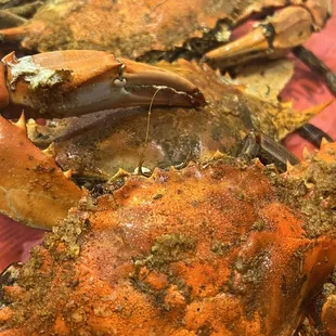 two crabs on a plate