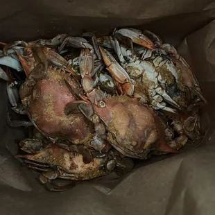 Female crabs