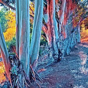 Glen Cove Waterfront Park