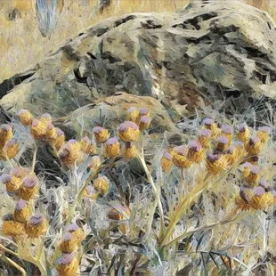 Glen Cove Waterfront Park