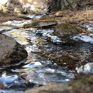 Water that runs right by the property