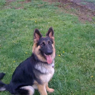 Ariel Posing for the Pic