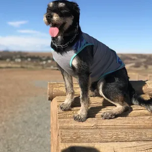 Sunny days conquering the jungle gym.