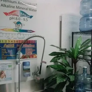 Natural Antioxidant Alkaline Mineral Water