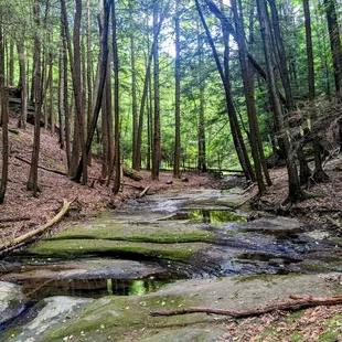 Camusfearna Gorge trail