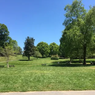 Beautiful picnic area.