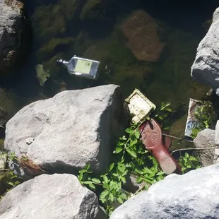 A shoe. Who just leaves their shoe?