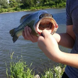 Bass my husband caught here.